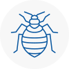 Bed Bug Extermination In Ilford