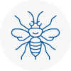 Ilford Hornet Nest Removals