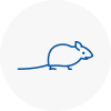 Mice Exterminators In Ilford