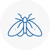 Moth Control Specialists In Ilford