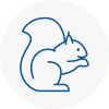 Ilford Rodent Removals