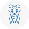 Ilford Wasp Nest Removal